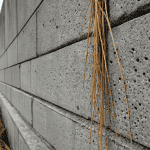 Brutalist Web Design trend