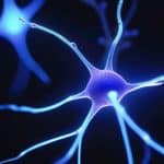Optogenetics cell control using light technology.