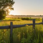Improving pasture rotation for healthier grazing land.